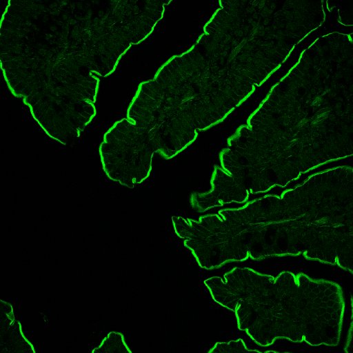 images-karl_Image048_ch01